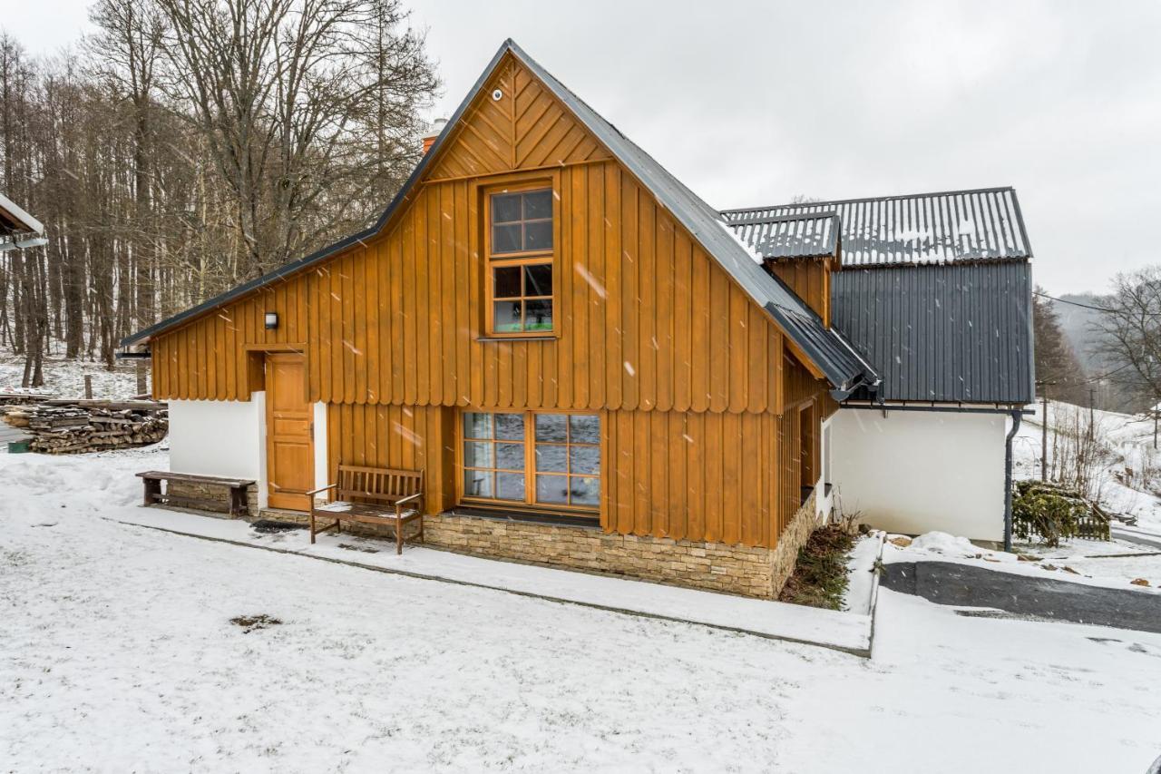 Luxusni Apt Hory 7 V Krkonosich Высоке-над-Йизероу Экстерьер фото